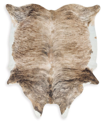 Sportsmen - Medium Rug - Brown